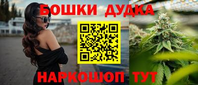 гидропоника Аша