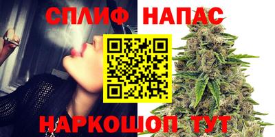 прущая мука Ачхой-Мартан