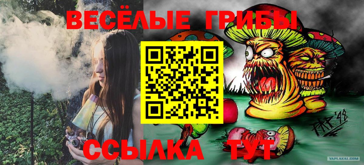 Псилоцибиновые грибы мухоморы Белгород