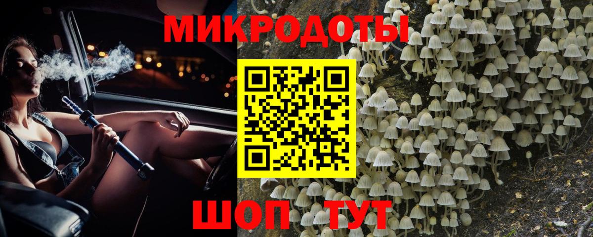 Галлюциногенные грибы GOLDEN TEACHER  Псилоцибиновые грибы мицелий  Белгород  Вход с VPN 